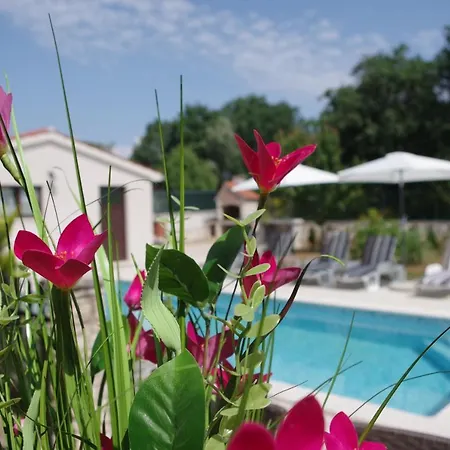 House Nadia, Village Sveti Kirin Dom wakacyjny